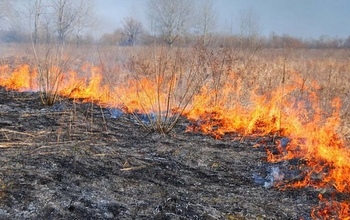 На борьбу с пожарами в Оренбурге вышла прокуратура