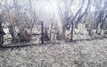 В Красногвардейском районе воришки разобрали ограждение школы