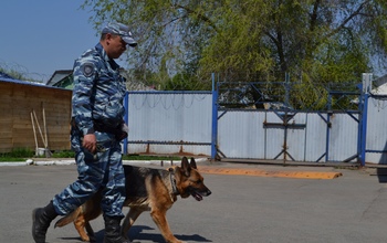 В Оренбурге кинолог с собакой вычислил вора, принявшего в чужом доме душ перед кражей