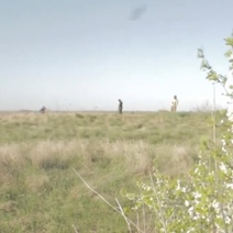 Что грозит поисковому движению после трагедии под Волгоградом