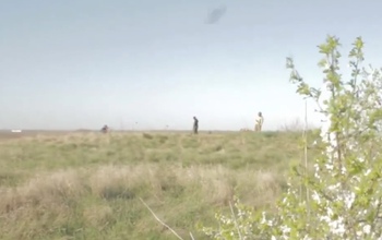 Что грозит поисковому движению после трагедии под Волгоградом