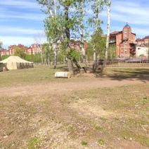 Прокуратура требует возбуждения уголовного дела из-за вырубки деревьев на Красной площади в Оренбурге