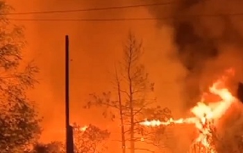 В Оренбургском районе на пожаре в садовом товариществе погибла женщина (18+)