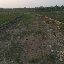 Ботанический сад в Оренбурге совсем не радует