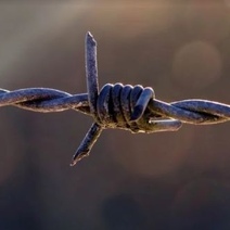 В оренбургских колониях до сих пор запрещены длительные свидания