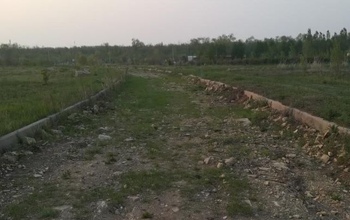 Ботанический сад в Оренбурге совсем не радует