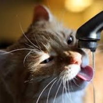 В Оренбурге нынешний май может стать одним из самых сухих за всю историю метеонаблюдений