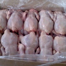 В Оренбуржье попало куриное мясо прямиком из очага острой инфекции