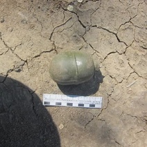 В Орске горожанин нашел 