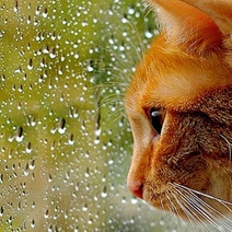 На Оренбуржье надвигается мощная гроза