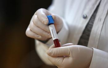 Полёт в Армению закончился для оренбуржца штрафом