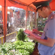 Проверяющие наведались с рейдом на рынок АТП в Оренбурге