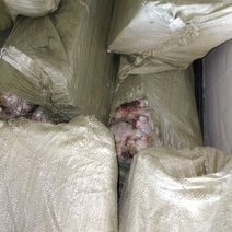 В Оренбуржье пограничники 