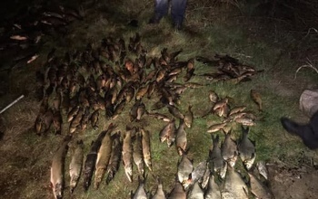В Оренбуржье закинул старик невод в водохранилище и поймал рыбы на большой срок