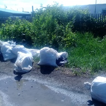 Жители Нежинки: Мы устали возить мусор в Оренбург!