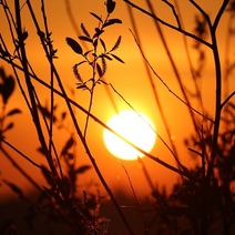 Синоптики предупреждают оренбуржцев об 