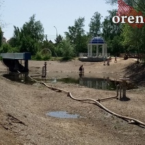 Оренбургский парк «Ивушка» потерял свою изюминку