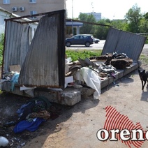 Не пора ли в Оренбурге вводить режим ЧС из-за плохого вывоза мусора?