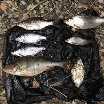 Пенсионер из Новоорского района задержан за семь выловленных рыб