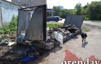 Не пора ли в Оренбурге вводить режим ЧС из-за плохого вывоза мусора?