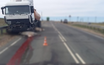 Под Абдулино водитель МАЗа угробил пять коров (18+)