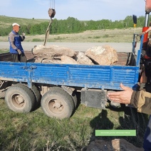 В Оренбуржье с поличным попались похитители сланцевых пород
