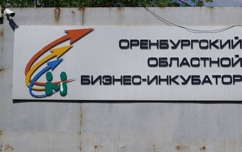Директор 
