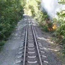 В лесополосе у Красной площади в Оренбурге снова произошел пожар