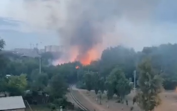 В районе Красной площади в Оренбурге загорелся лес