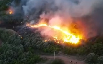Беспокойный день для пожарных: в Оренбуржье за сутки произошло 66 возгораний