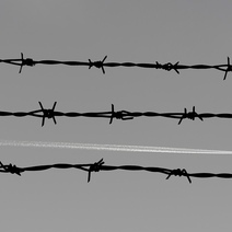 Убила подругу и пыталась скрыть улики: жительница Тоцкого лишилась свободы на 11 лет (18+)