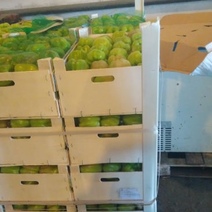 В Оренбуржье нашли более 375 кило очередной 