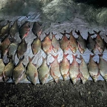 В Кваркенском районе задержаны очередные горе-рыбаки