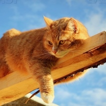 В Оренбургскую область пришел теплый атмосферный фронт из Казахстана