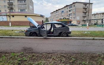 В Тюльгане водитель ВАЗ-21340 протаранил дерево и столб