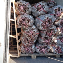 В Оренбуржье не пустили очередную партию продуктов