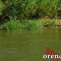 Под Сорочинском в утонувшем автомобиле обнаружен труп мужчины (18+)