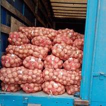 На границе Оренбуржья 