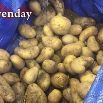 В Казахстане овощи тоже ощутимо подорожали