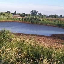 Утонули дети: в Следкоме сообщили подробности трагедии в Октябрьском районе (18+)