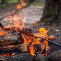 Обед не удался: из-за костра дорожного рабочего сгорела сухая трава