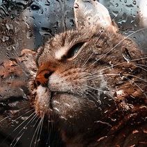 В Оренбуржье сегодня ожидается жара и мощная гроза