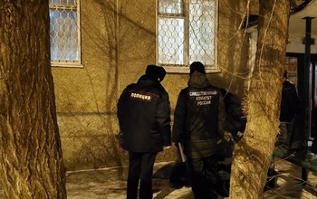 Бабушка-убийца двухлетней внучки из Орска признана невменяемой (18+)