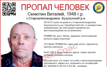 В Бузулукском районе два дня ищут 73-летнего старика в желтой рубашке