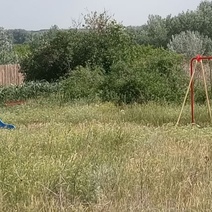 До поселка Западный под Оренбургом мусорная реформа так и не дошла