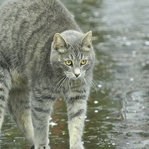 В Оренбуржье сегодня вечером снова обещают град