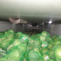 До прилавков магазинов Оренбуржья не доехали еще 375 тонн казахских продуктов