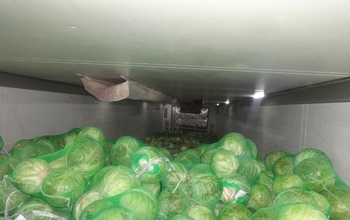 До прилавков магазинов Оренбуржья не доехали еще 375 тонн казахских продуктов