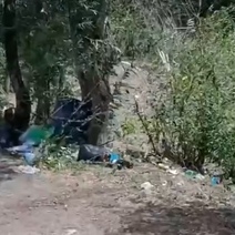 Под Черноречьем озеро утопает в мусоре