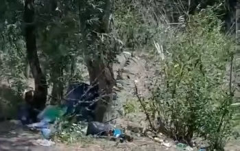 Под Черноречьем озеро утопает в мусоре